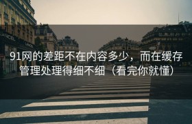 91网的差距不在内容多少，而在缓存管理处理得细不细（看完你就懂）