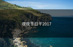 夜夜干日干2017