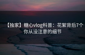 【独家】糖心vlog科普：花絮背后7个你从没注意的细节