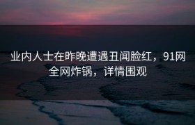 业内人士在昨晚遭遇丑闻脸红，91网全网炸锅，详情围观