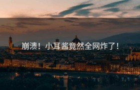崩溃！小耳酱竟然全网炸了！
