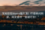 某地惊现Weme猫资源！吓傻瞬间刷屏，网友直呼“我被吓到！”