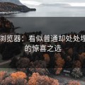 91网浏览器：看似普通却处处埋钩子的惊喜之选