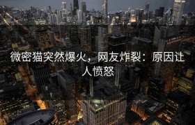 微密猫突然爆火，网友炸裂：原因让人愤怒