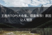 王胜利TOP5大合集，狂喜推荐！原因让人愤怒