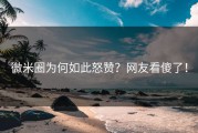 微米圈为何如此怒赞？网友看傻了！