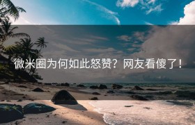 微米圈为何如此怒赞？网友看傻了！