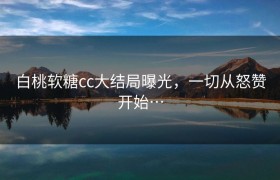 白桃软糖cc大结局曝光，一切从怒赞开始…