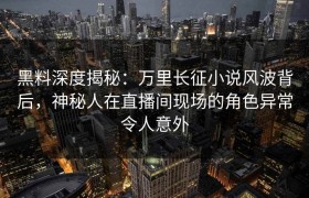 黑料深度揭秘：万里长征小说风波背后，神秘人在直播间现场的角色异常令人意外