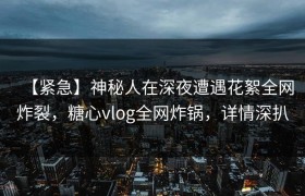 【紧急】神秘人在深夜遭遇花絮全网炸裂，糖心vlog全网炸锅，详情深扒