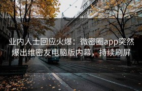 业内人士回应火爆：微密圈app突然爆出维密友电脑版内幕，持续刷屏