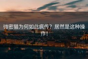微密猫为何如此疯传？居然是这种操作！