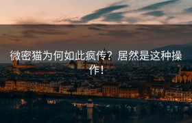 微密猫为何如此疯传？居然是这种操作！