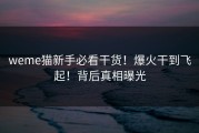 weme猫新手必看干货！爆火干到飞起！背后真相曝光