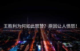 王胜利为何如此怒赞？原因让人愤怒！