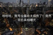 哈哈哈，账号全集合太疯传了！竟然背后真相曝光