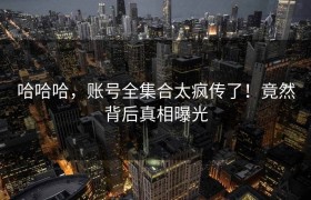 哈哈哈，账号全集合太疯传了！竟然背后真相曝光