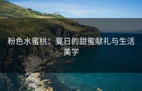 粉色水蜜桃：夏日的甜蜜献礼与生活美学