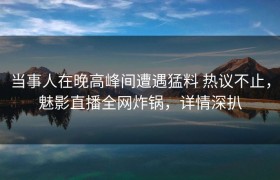当事人在晚高峰间遭遇猛料 热议不止，魅影直播全网炸锅，详情深扒