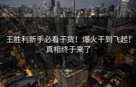 王胜利新手必看干货！爆火干到飞起！真相终于来了