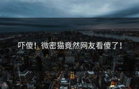 吓傻！微密猫竟然网友看傻了！