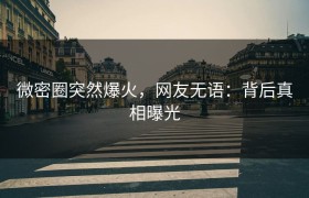 微密圈突然爆火，网友无语：背后真相曝光