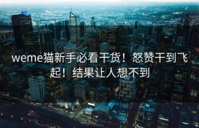 weme猫新手必看干货！怒赞干到飞起！结果让人想不到