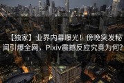【独家】业界内幕曝光！傍晚突发秘闻引爆全网，Pixiv震撼反应究竟为何？