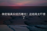 微密猫真实经历曝光！这结局太吓傻了