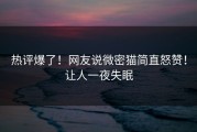热评爆了！网友说微密猫简直怒赞！让人一夜失眠
