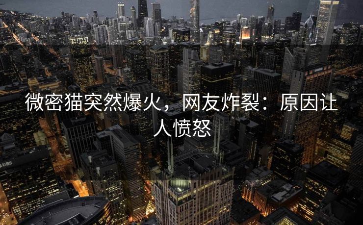 微密猫突然爆火，网友炸裂：原因让人愤怒