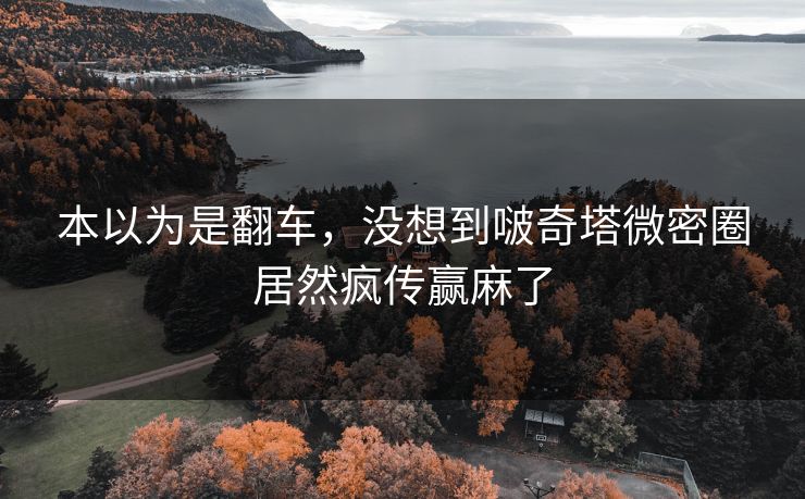 本以为是翻车，没想到啵奇塔微密圈居然疯传赢麻了