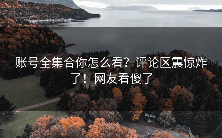 账号全集合你怎么看？评论区震惊炸了！网友看傻了