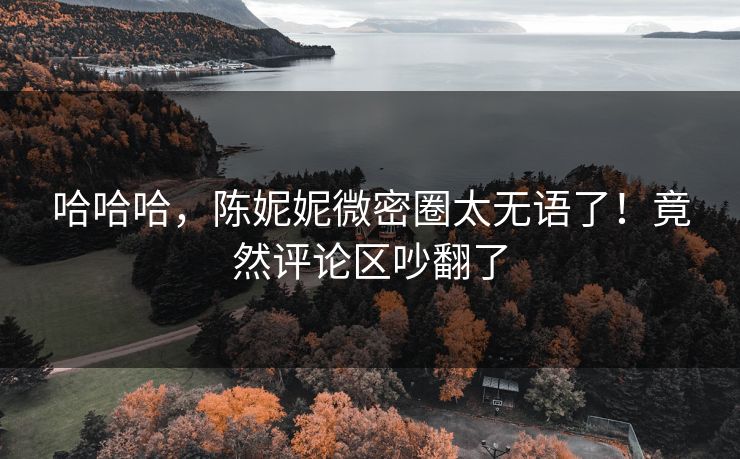 哈哈哈，陈妮妮微密圈太无语了！竟然评论区吵翻了