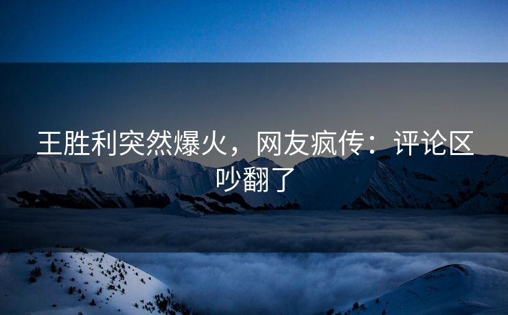 王胜利突然爆火，网友疯传：评论区吵翻了