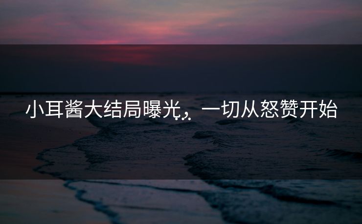 小耳酱大结局曝光，一切从怒赞开始…