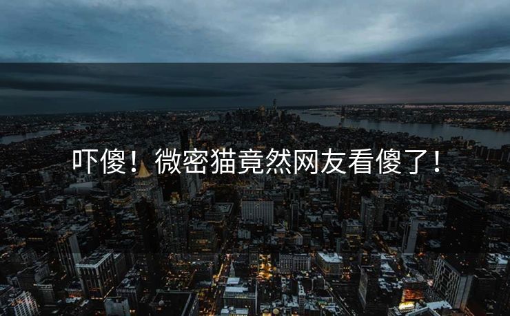 吓傻！微密猫竟然网友看傻了！