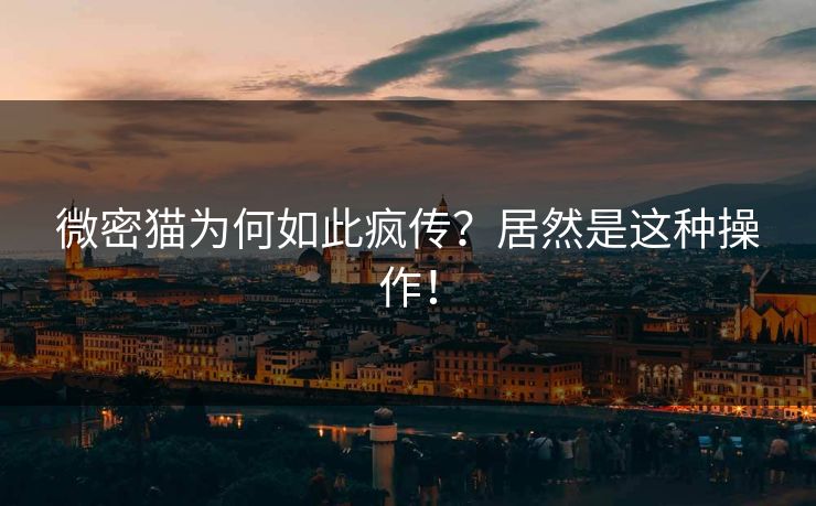 微密猫为何如此疯传？居然是这种操作！