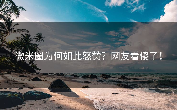微米圈为何如此怒赞？网友看傻了！
