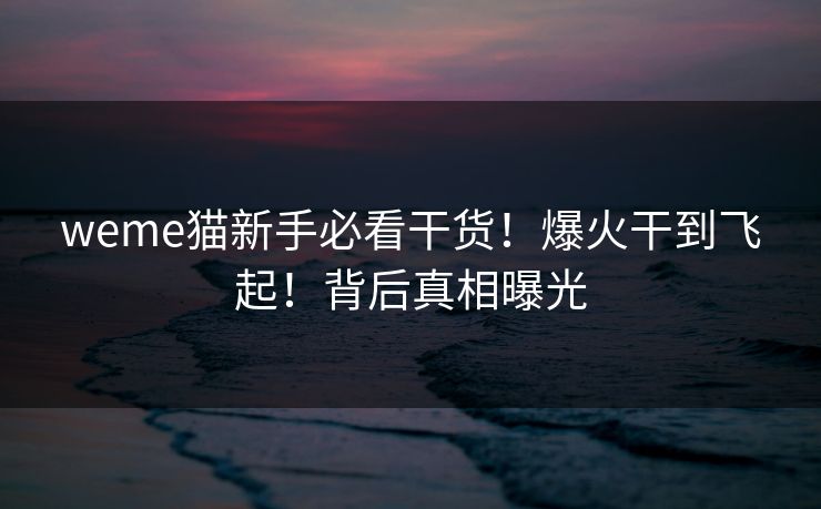 weme猫新手必看干货！爆火干到飞起！背后真相曝光