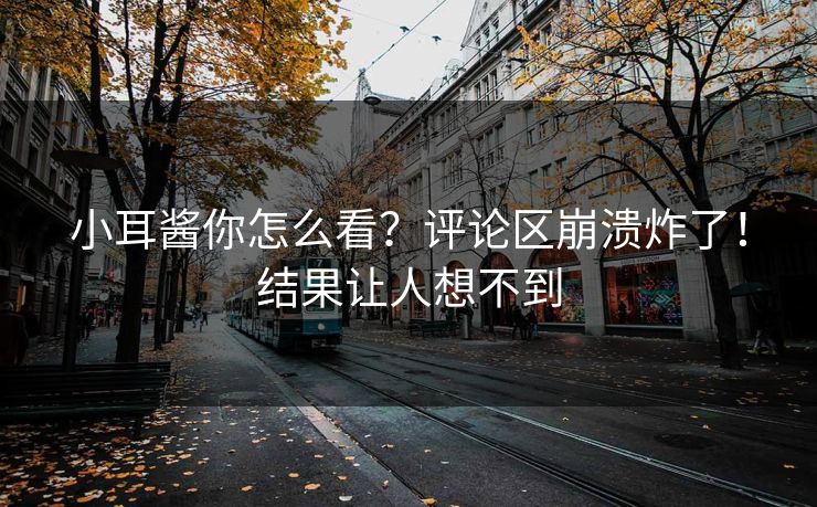 小耳酱你怎么看？评论区崩溃炸了！结果让人想不到