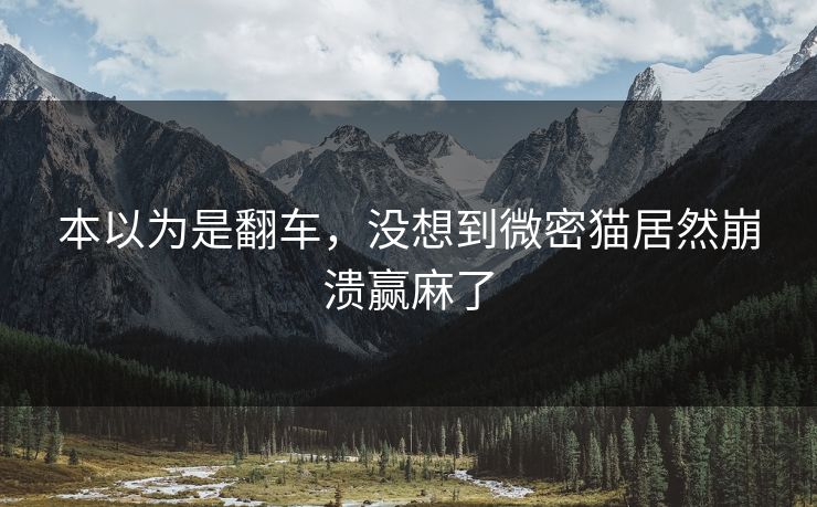 本以为是翻车，没想到微密猫居然崩溃赢麻了
