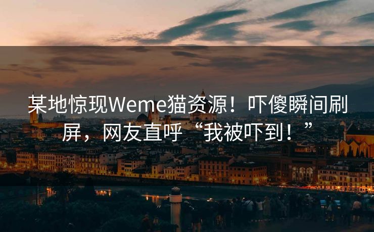 某地惊现Weme猫资源！吓傻瞬间刷屏，网友直呼“我被吓到！”