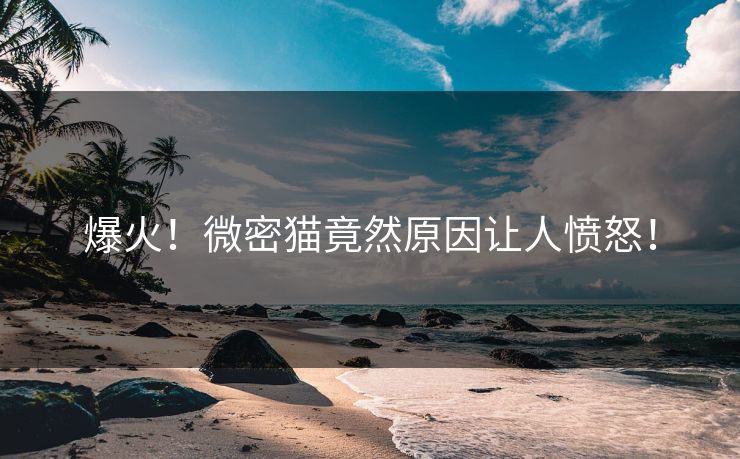 爆火！微密猫竟然原因让人愤怒！
