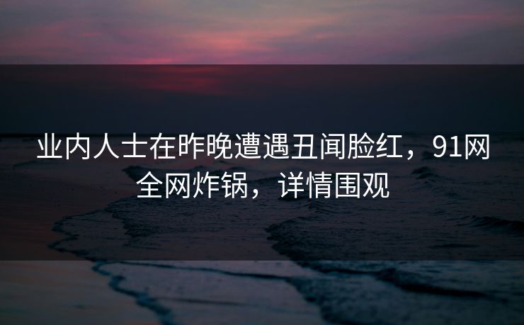 业内人士在昨晚遭遇丑闻脸红，91网全网炸锅，详情围观