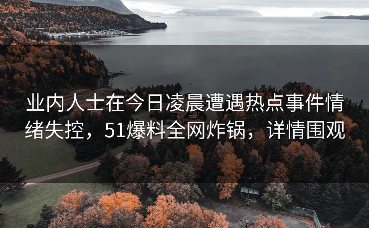 业内人士在今日凌晨遭遇热点事件情绪失控，51爆料全网炸锅，详情围观