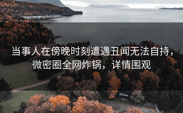 当事人在傍晚时刻遭遇丑闻无法自持,微密圈全网炸锅,详情围观 当事人在傍晚时刻遭遇丑闻无法自持,微密圈全网炸锅,详情围观
