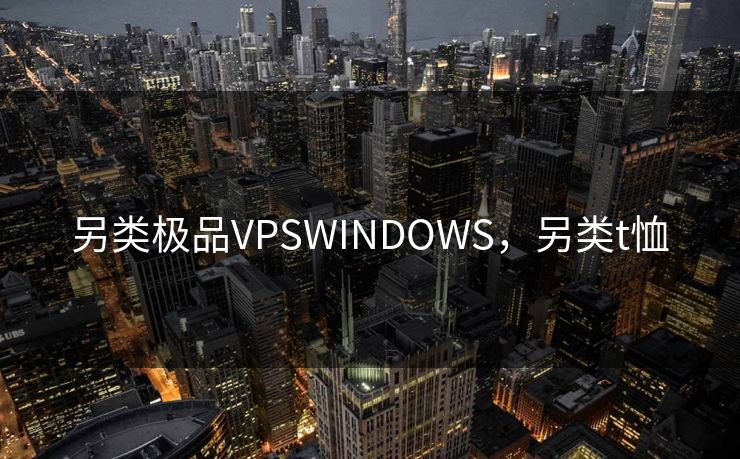 另类极品VPSWINDOWS，另类t恤