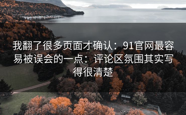 我翻了很多页面才确认：91官网最容易被误会的一点：评论区氛围其实写得很清楚